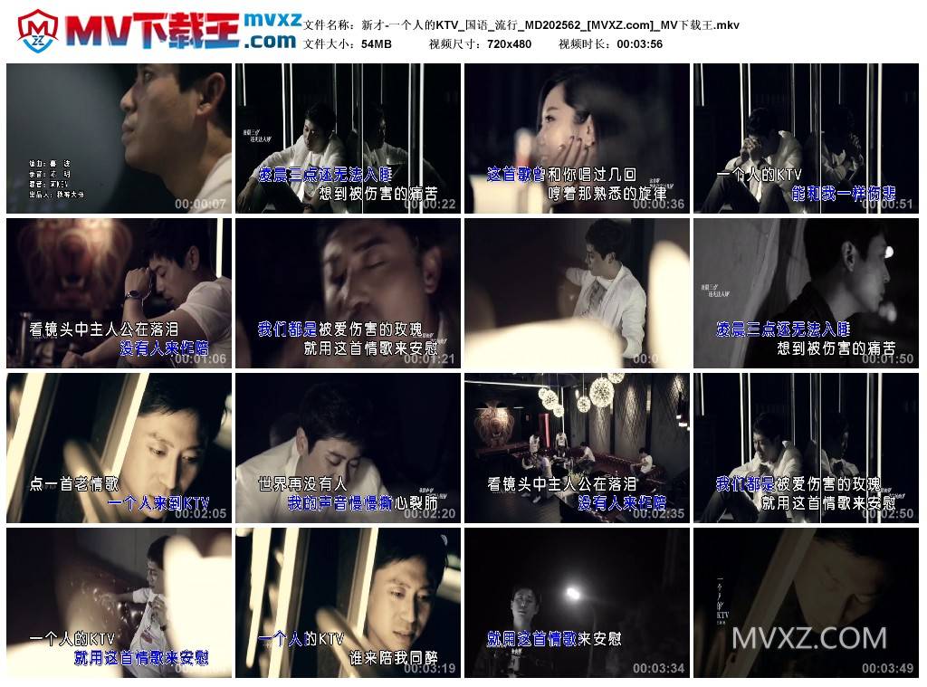 新才-一个人的KTV_国语_流行_MD202562